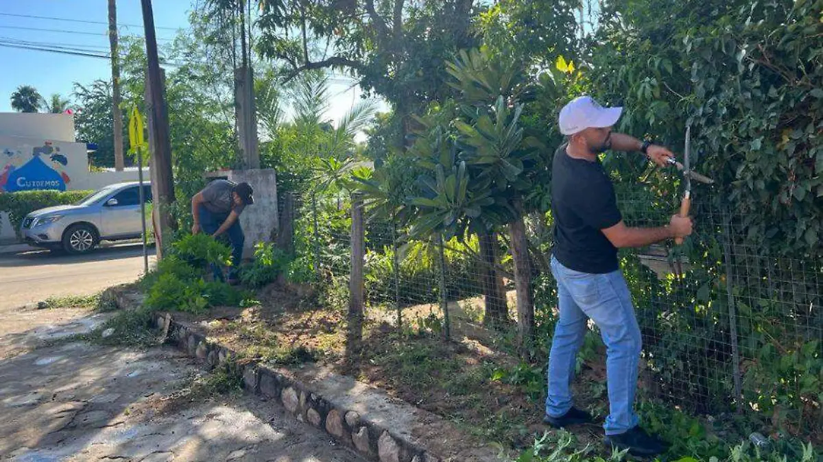 parque miraflores reforestacion